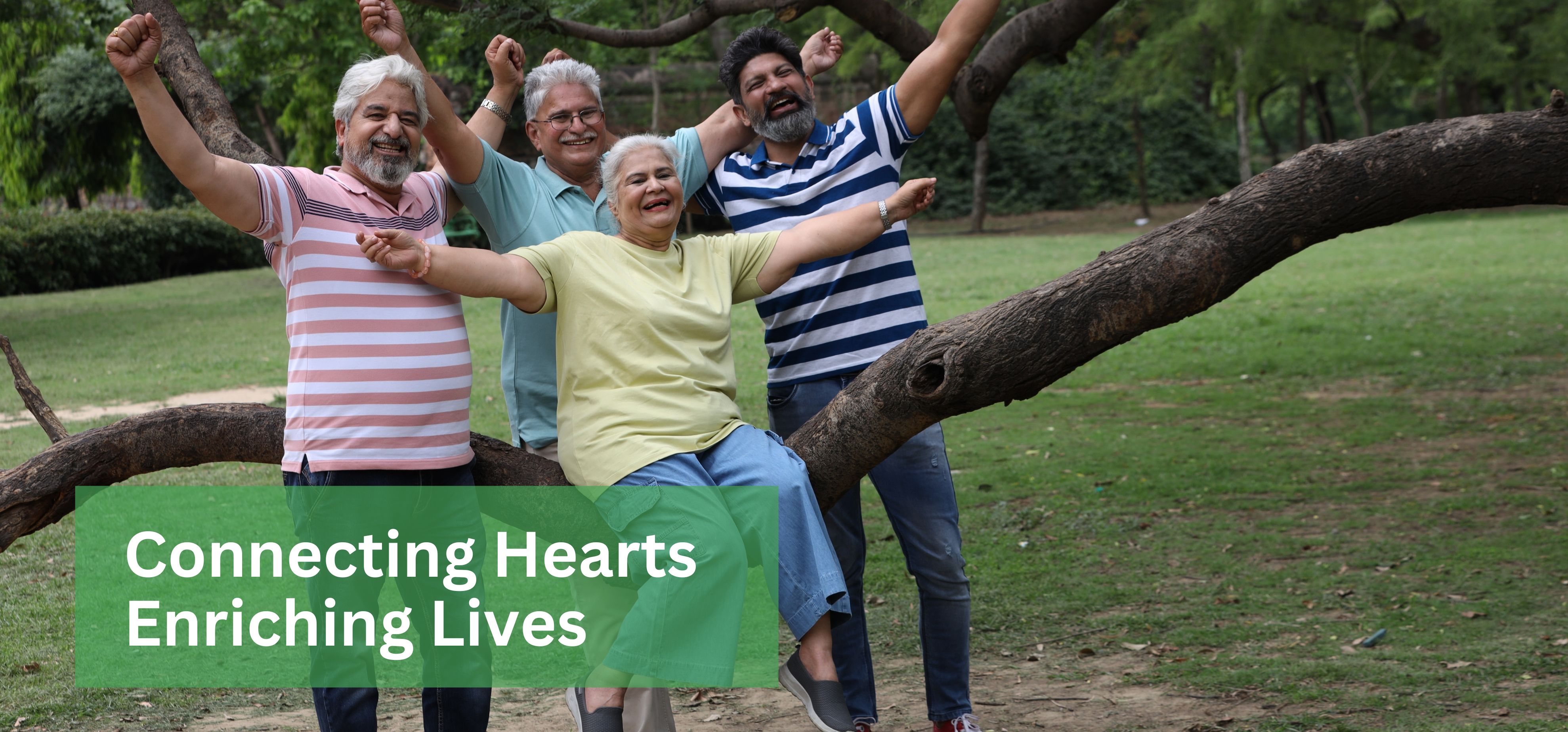 Header section slider with multiple images